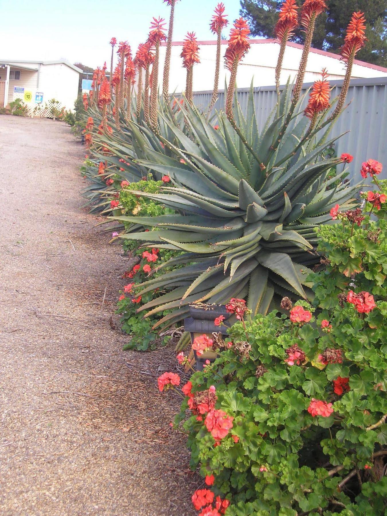 蒙塔湾酒店 Port Moonta 外观 照片
